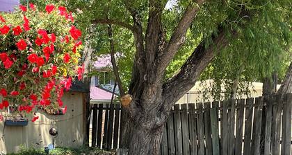 DOWNTOWN DOLORES COLORADO w/river access - Stay at Cozy Comfort Inn, Dolores, CO