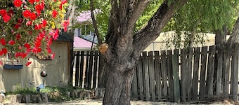 DOWNTOWN DOLORES COLORADO w/river access - Stay at Cozy Comfort Inn, Dolores, CO