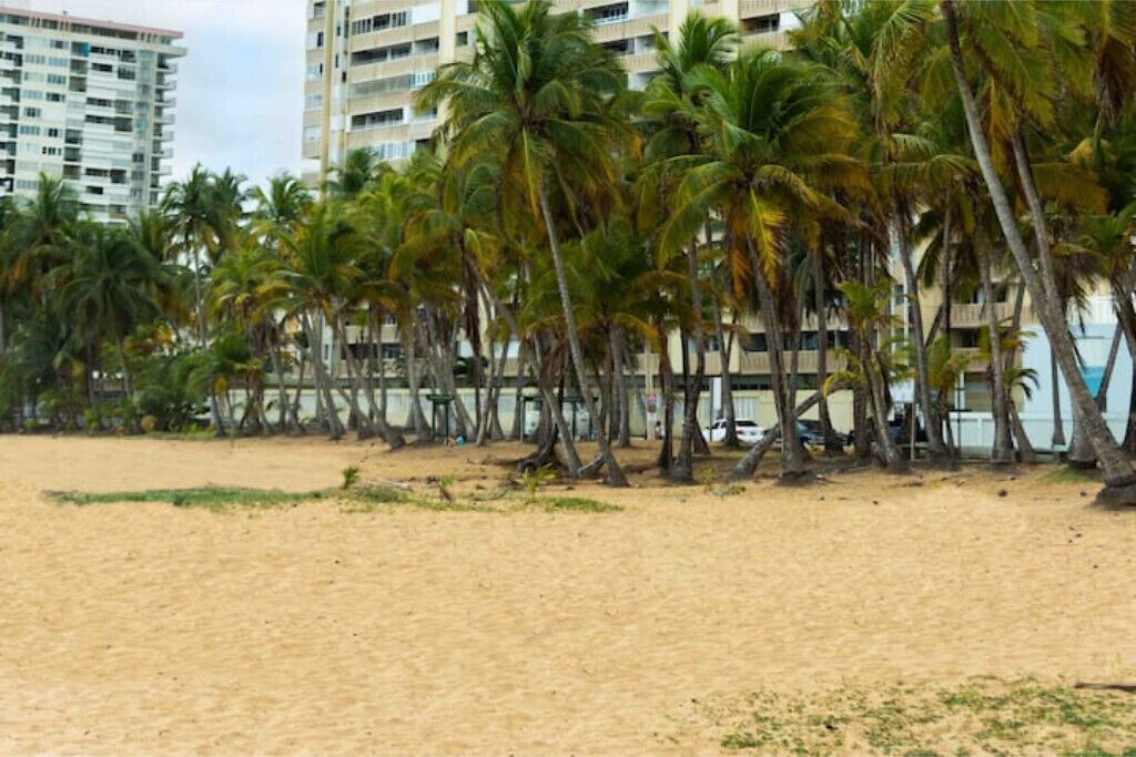 Ein sandiger Strand mit Palmen und einem Gebäude im Hintergrund.