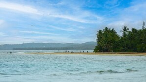 Une plage bordée de palmiers, avec une chaîne de montagnes qui se dessine à l’horizon.