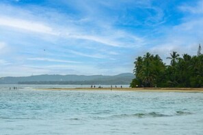 Plage à proximité, chaises longues, serviettes de plage