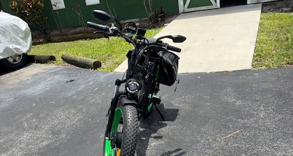 2904 Hollywood in Hollywood