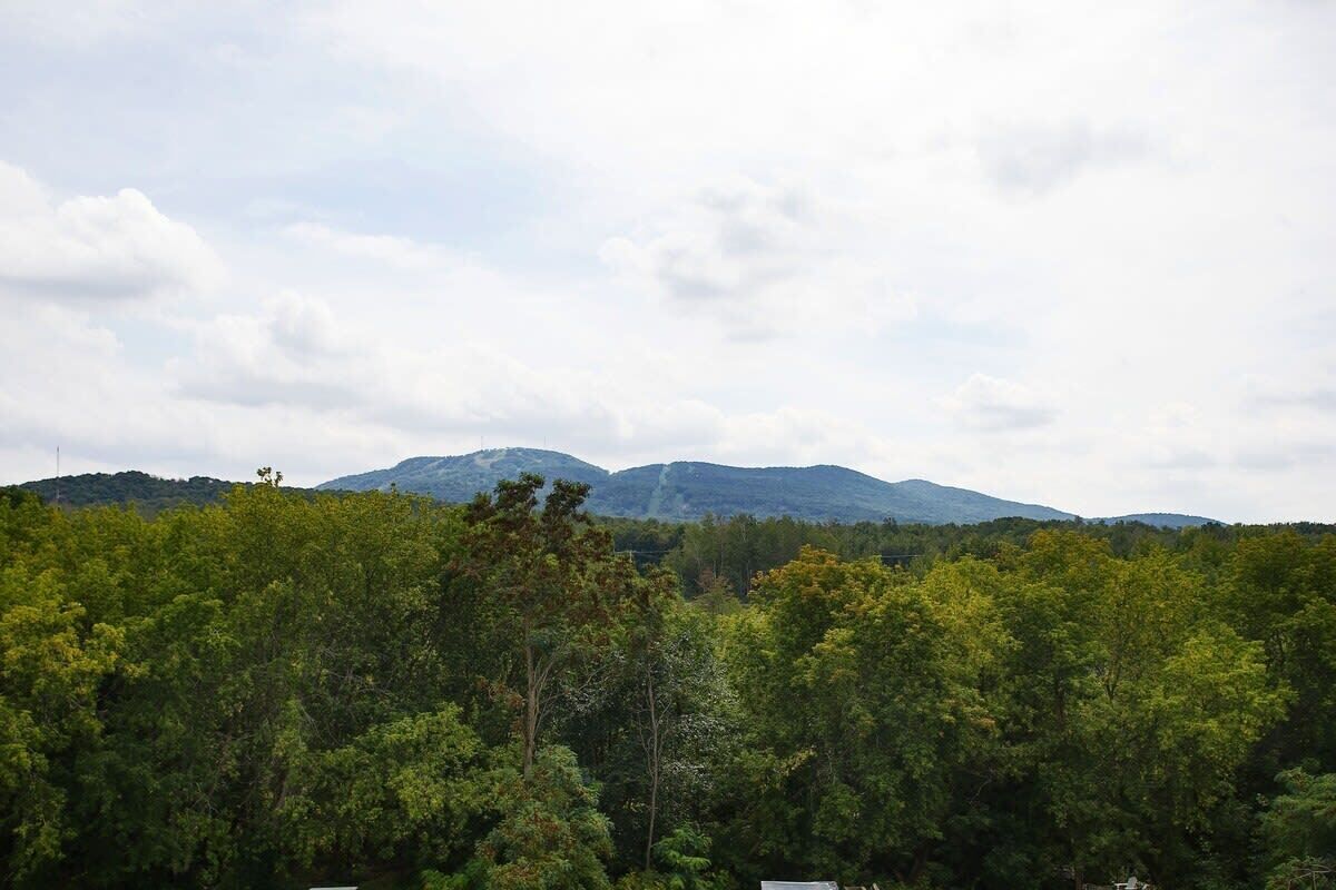 Un paisaje boscoso con una montaña al fondo.