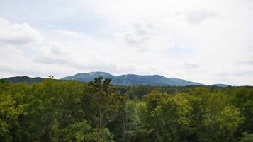 Un paisaje boscoso con una montaña al fondo.