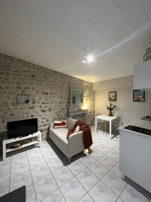 TV, stereo - Gîte aux Portes D'angoulême (Champniers)