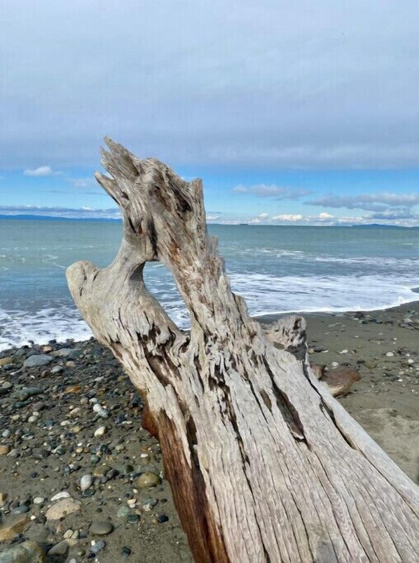 Enjoy the serene ocean views and peaceful atmosphere of this beachside retreat.