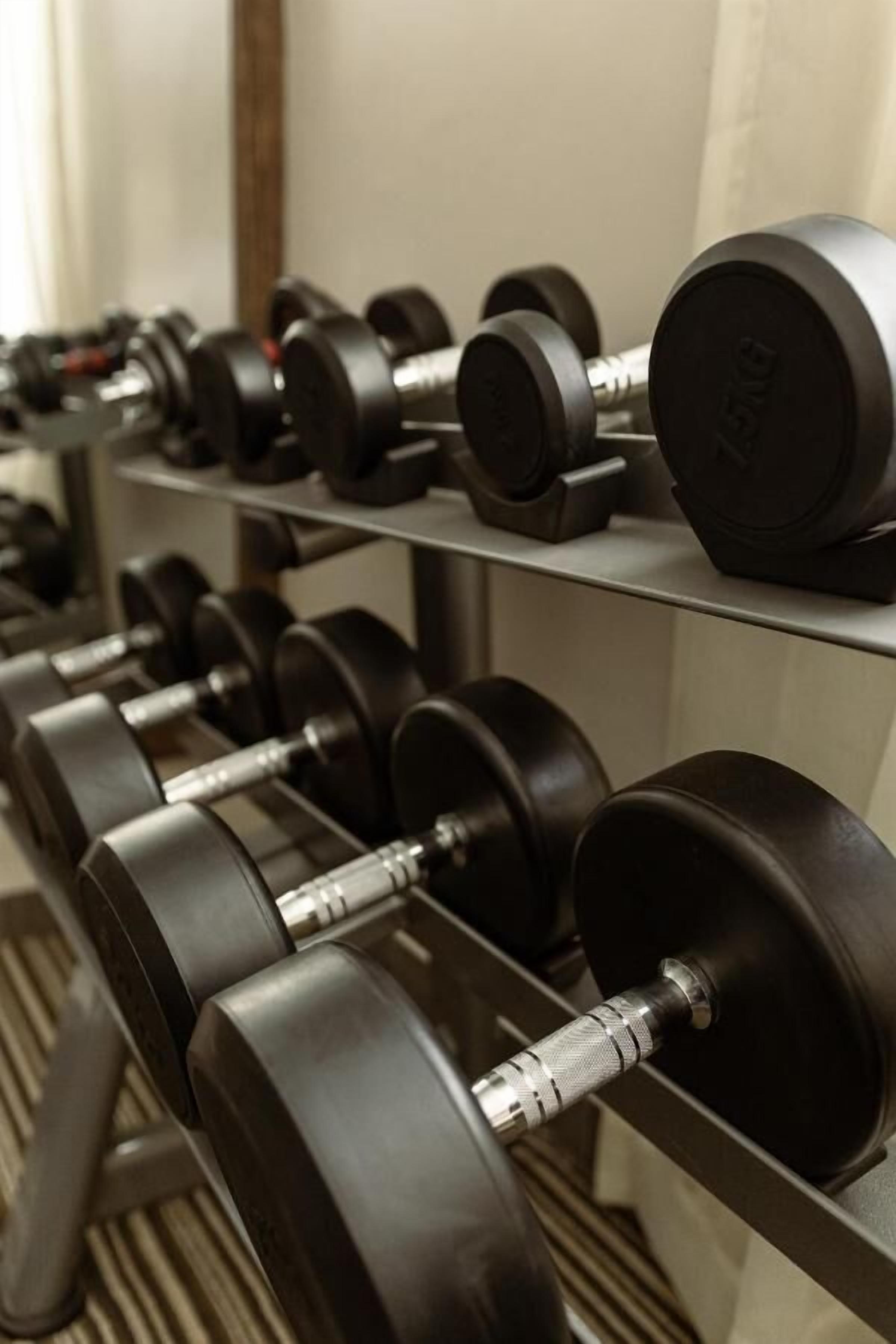 Ein Gestell mit einer Reihe schwarzer Hanteln, die mit Gewichtsangaben versehen sind, in einem Fitnessstudio.
