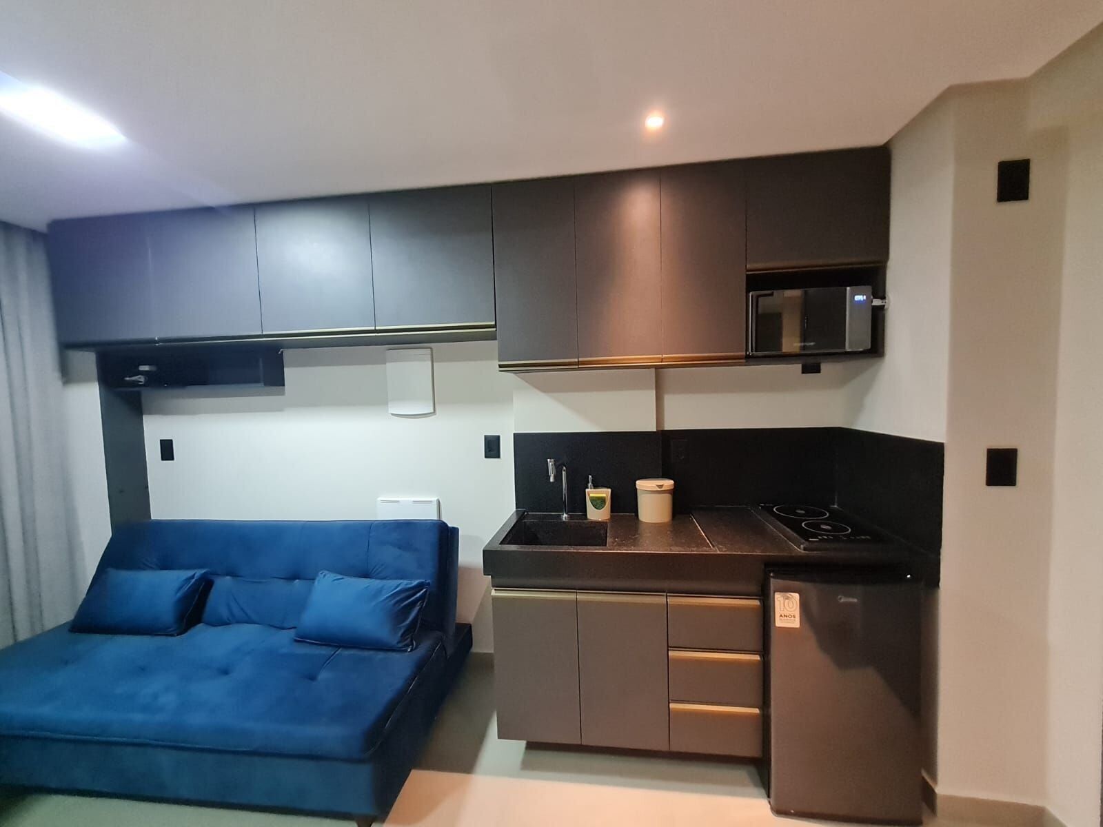 Deluxe Apartment | Private kitchen | Mini-fridge, microwave