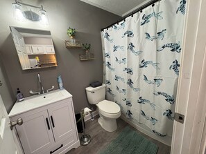 Hair dryer, towels, soap, toilet paper