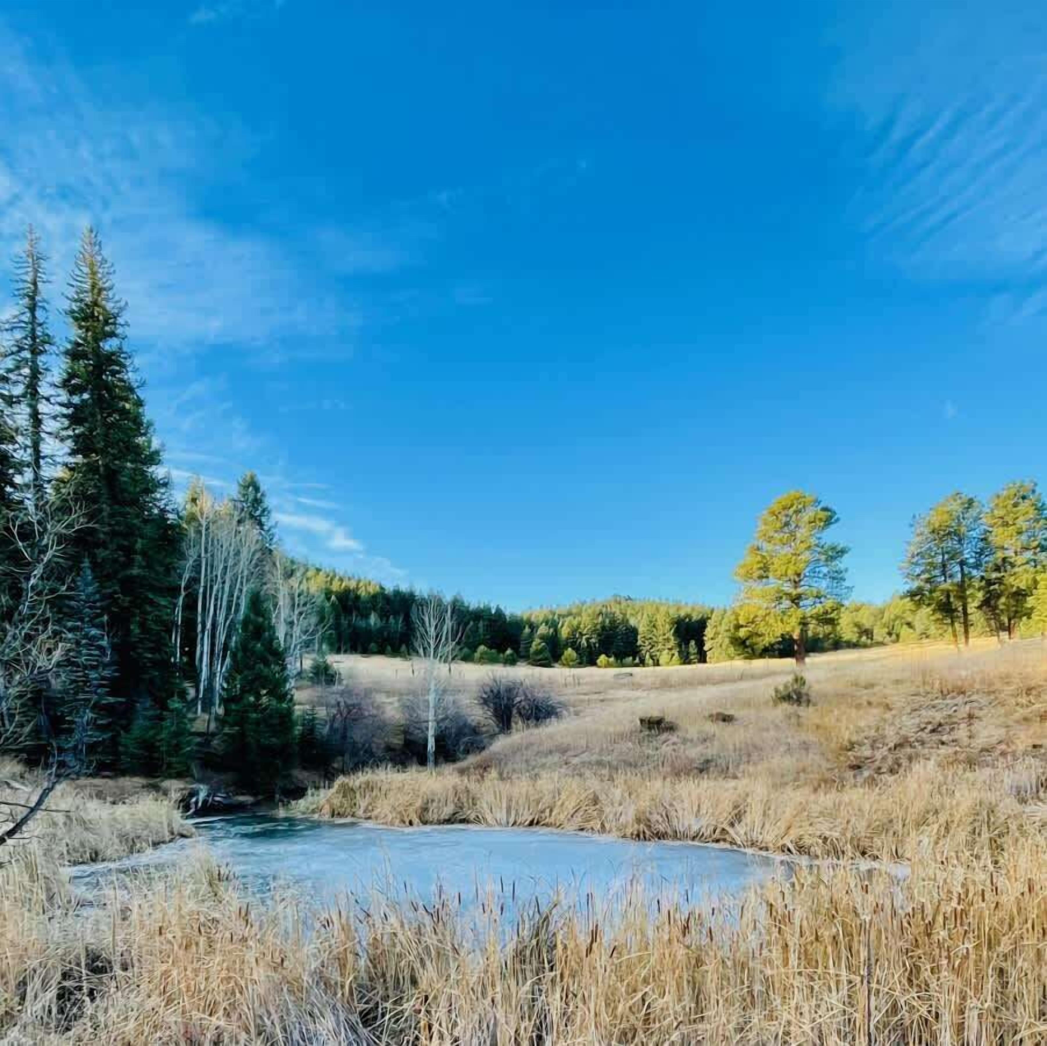Un paysage naturel avec une rivière, des arbres et un ciel dégagé.
