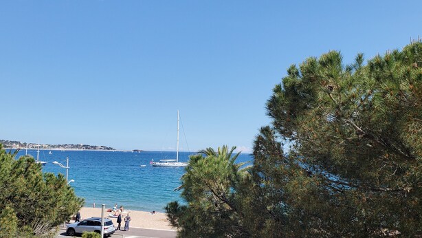 Eine Küstenansicht mit Strand, Segelboot und Kiefern.