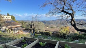 A garden with raised beds and a view of a town and mountains in the background.