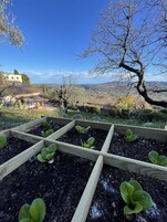Un jardín con camas elevadas y vistas a un pueblo y montañas al fondo.