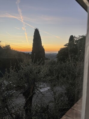 A view of a garden with tall trees and a clear sky. - 	Villa Daphné (Speracedes)