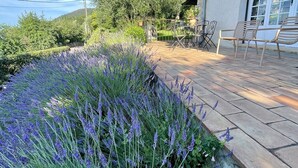 A patio with a stone floor, surrounded by lavender plants.