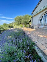 Un patio con suelo de piedra, rodeado de plantas de lavanda.