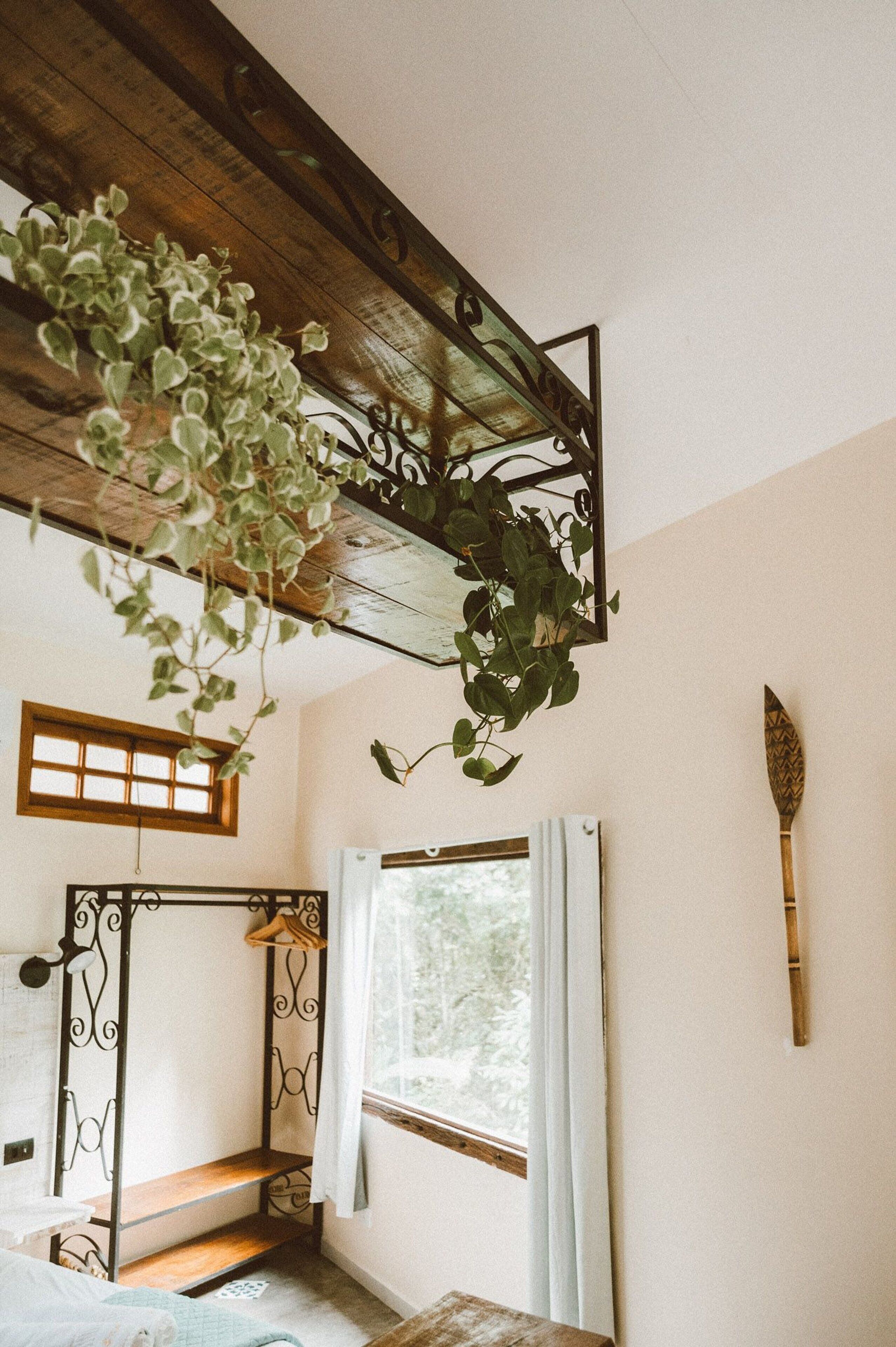 Quarto com beliche, planta pendurada, janela com cortinas e objeto decorativo fixado na parede.
