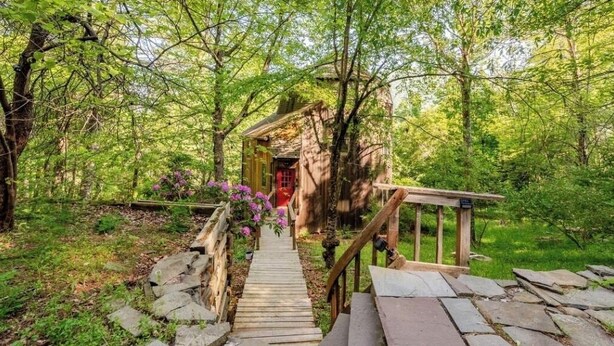 A wooden staircase leading to a rustic cabin with a red door, surrounded by lush greenery.