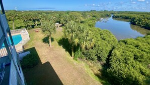 A view of a lush landscape with a swimming pool, palm trees, and a river. - Nature's Landing C302 Pool and Amazing Water View! (Cedar Key)
