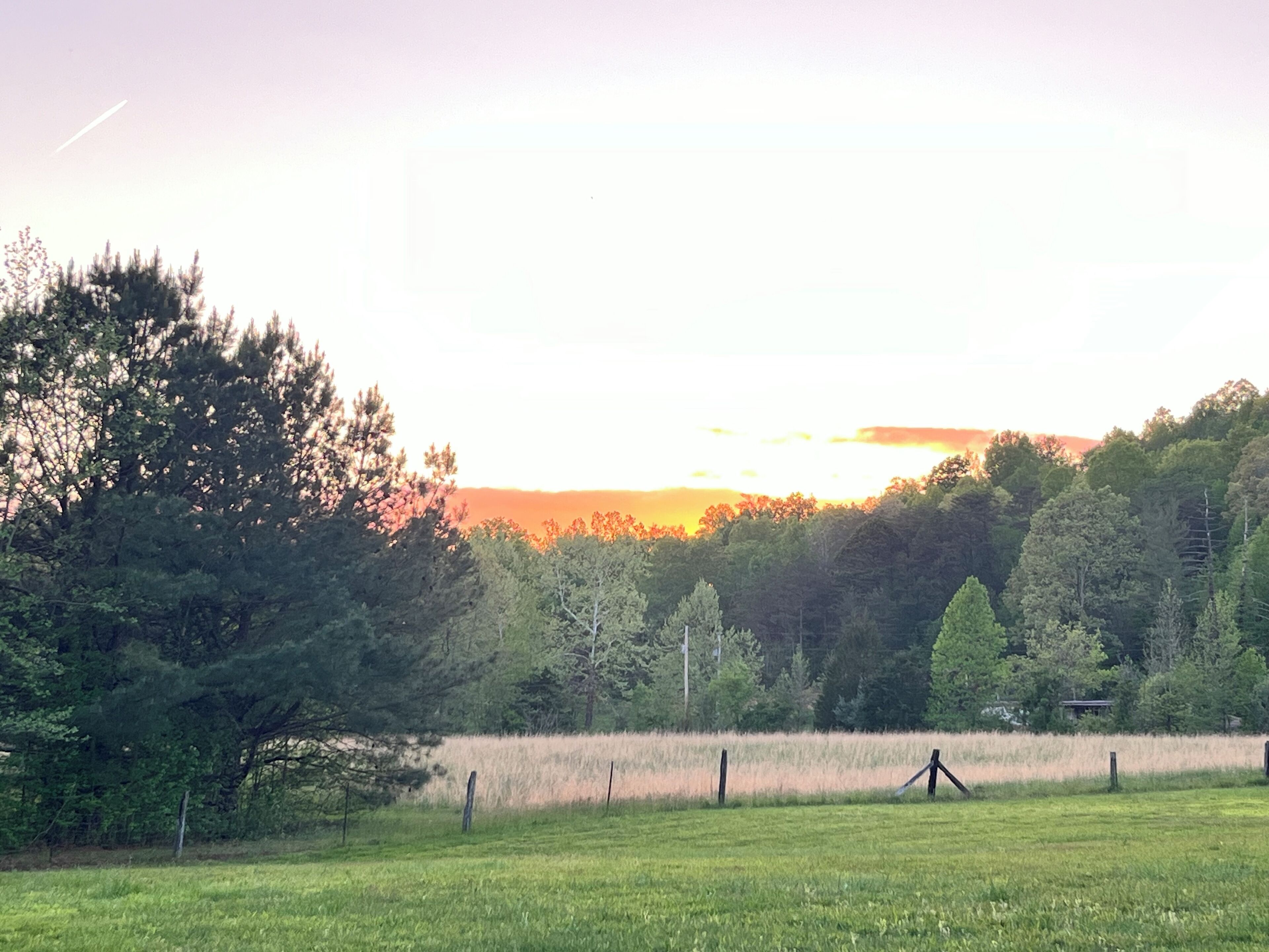 Un campo erboso con una recinzione, alberi e un tramonto sullo sfondo.