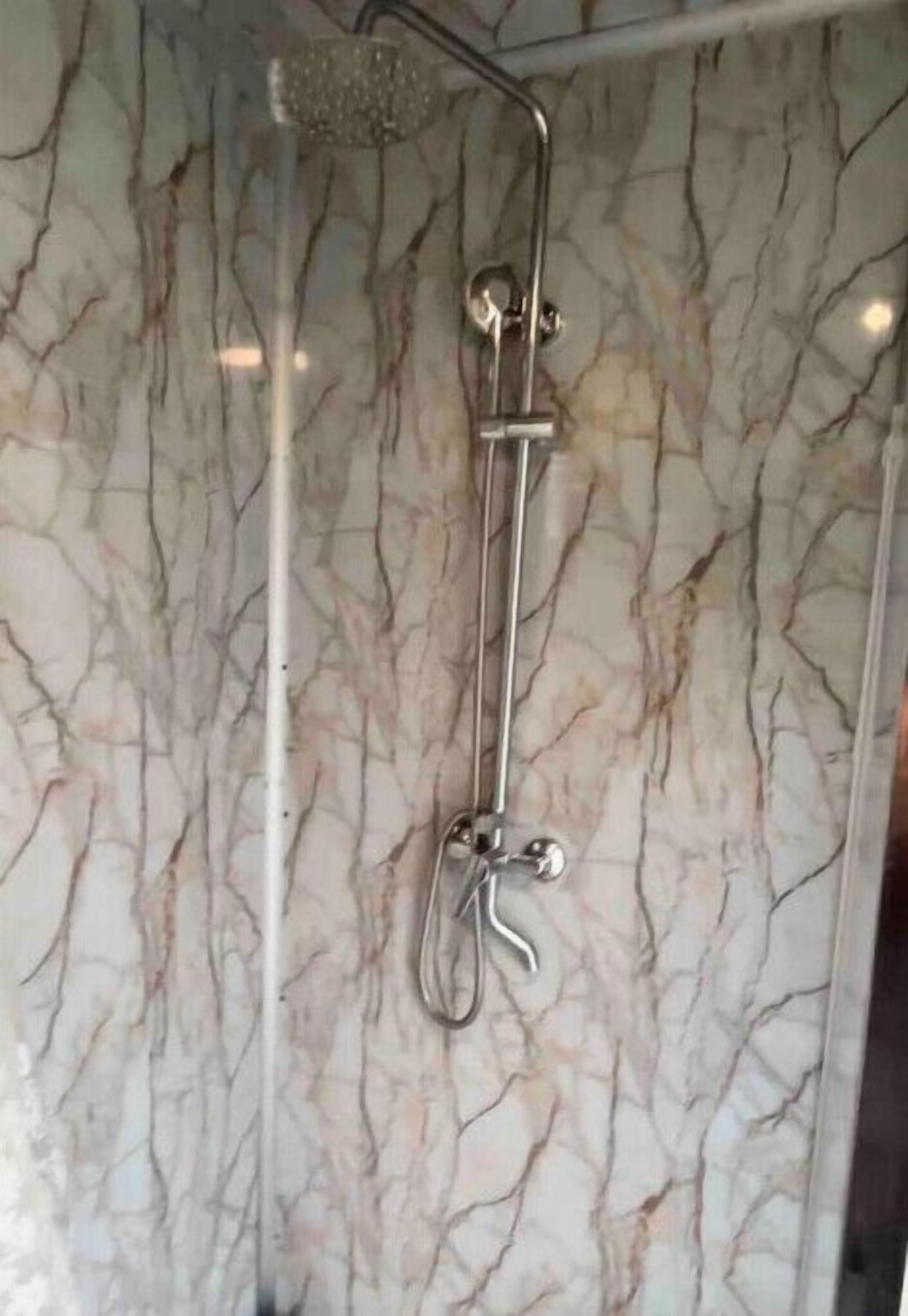 Shower, towels, toilet paper