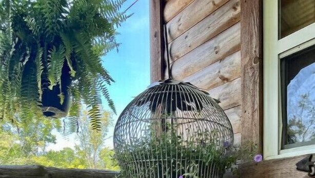 Un muelle de madera con una silla de mimbre y una jaula con un pájaro.