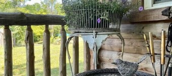 Birdsong cabin