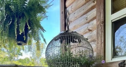 Birdsong cabin