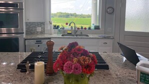 A kitchen with a large window, stainless steel appliances, and a vase of flowers on the counter.