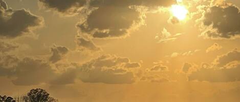A sunset with clouds and a silhouette of trees.