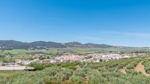 Eine Stadt mit einer dichten Bebauung, umgeben von Olivenhainen und Hügeln im Hintergrund.
