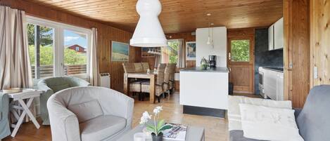 تلفزيون، مدفأة