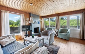 تلفزيون، مدفأة