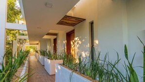 A modern hallway with white walls, wooden flooring, and planters with green plants. - Fabulous Apartment With Private Pool · 306 (Tulum)