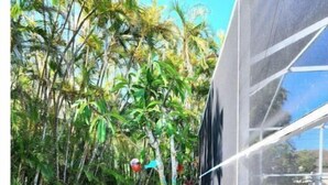 A poolside area with a modern building, lush greenery, and a variety of colorful plants. - Palm Paradise Poolside (Cape Coral)