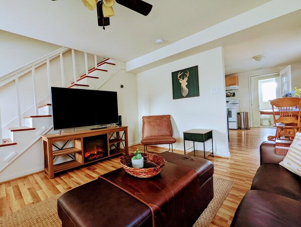 Smart TV, chimenea y libros 