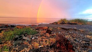 Une plage avec un arc-en-ciel, un terrain rocheux et une végétation clairsemée.
