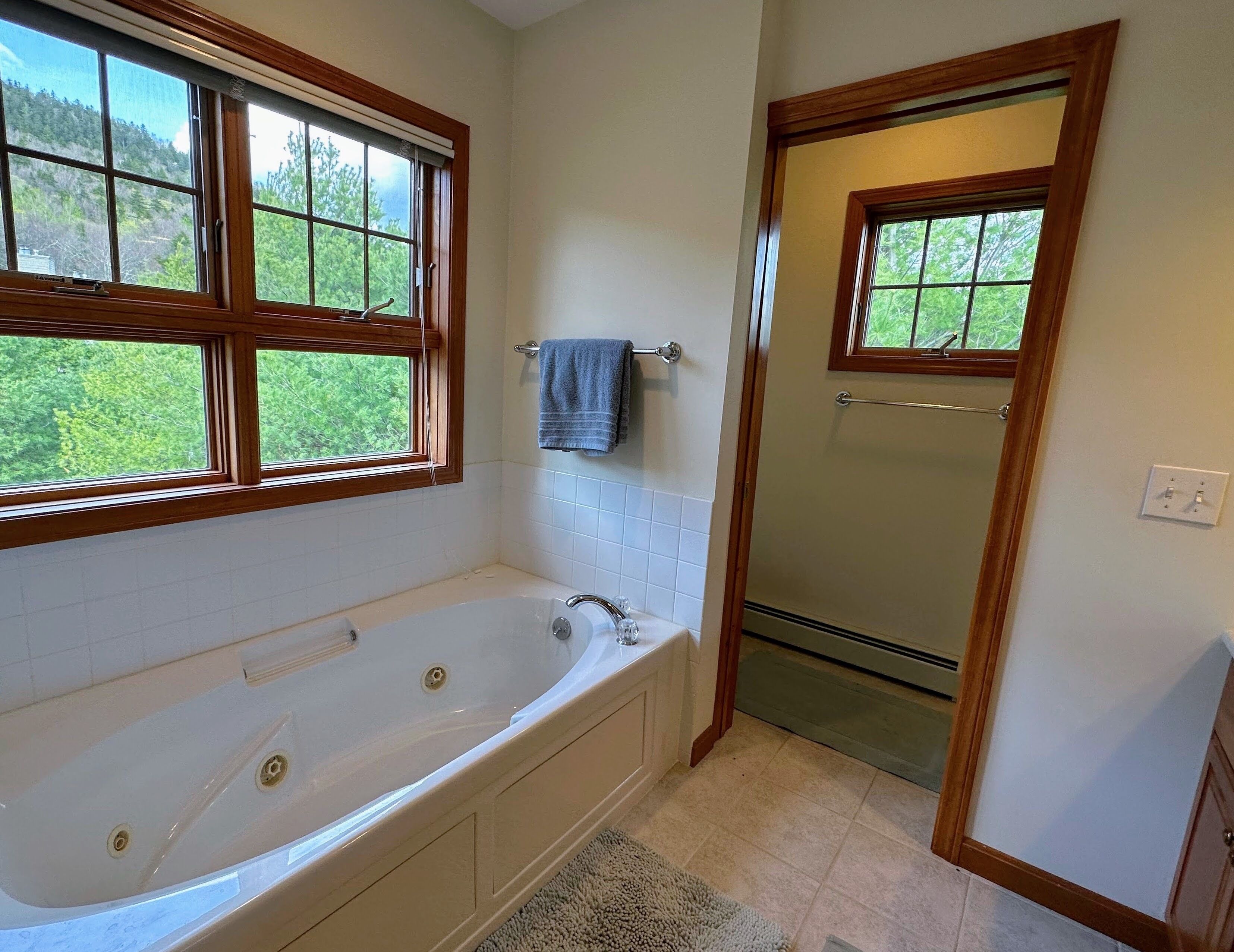 A bathroom with a bathtub, a window, and a shower area.