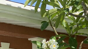 A building with a white door and a window with shutters. - Vintage Vero Bungalow II (Vero Beach)