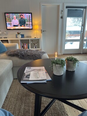 TV