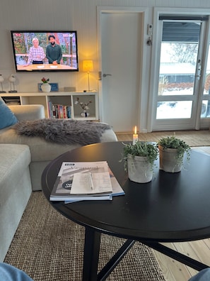 Olohuoneessa on sohva, lehtineen varustettu sohvapöytä, televisio ja ovi, joka johtaa parvekkeelle.