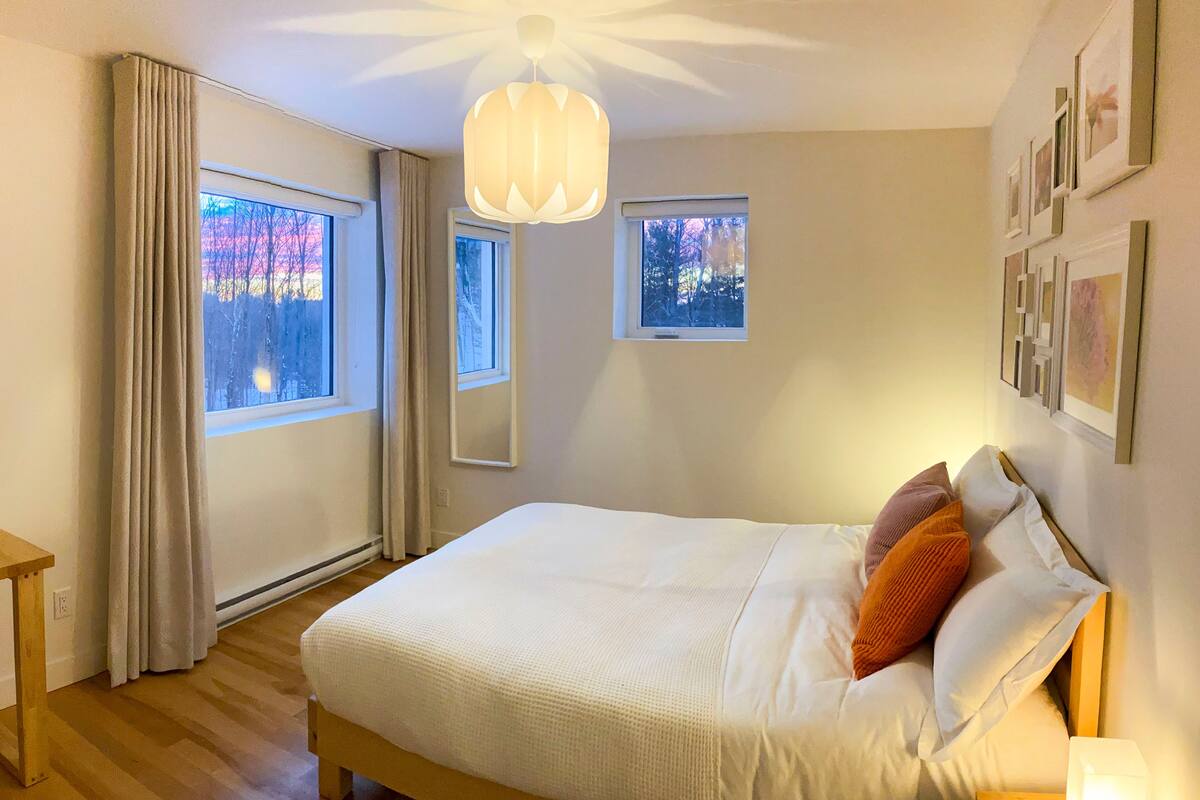 A bedroom with a bed, a nightstand, a hanging light fixture, and two windows.