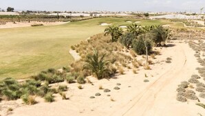 A golf course with a sandy path, green grass, and sparse vegetation.