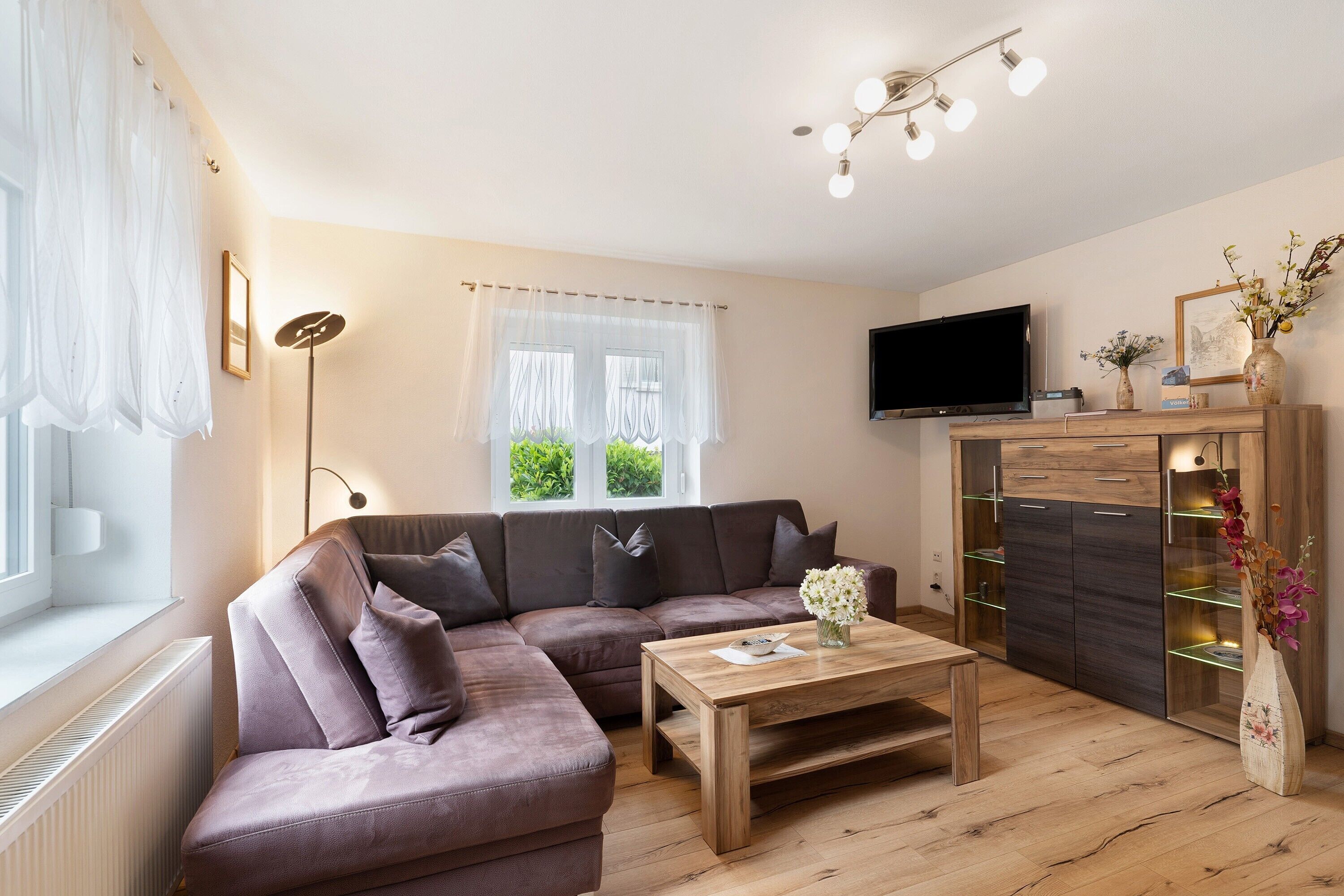 Fernseher, DVD-Player