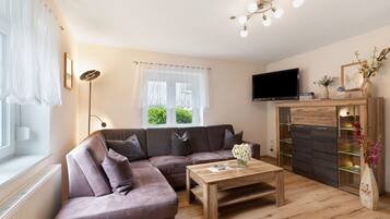 Fernseher, DVD-Player