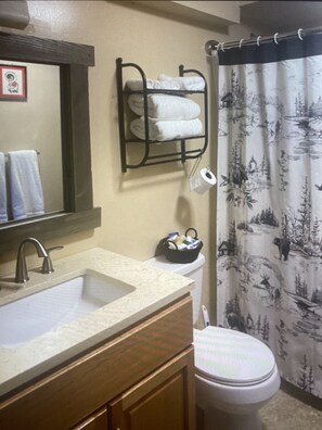 Hair dryer, towels, soap, shampoo