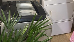 A laundry area with two washing machines, one black and one white, and a potted plant in the foreground.