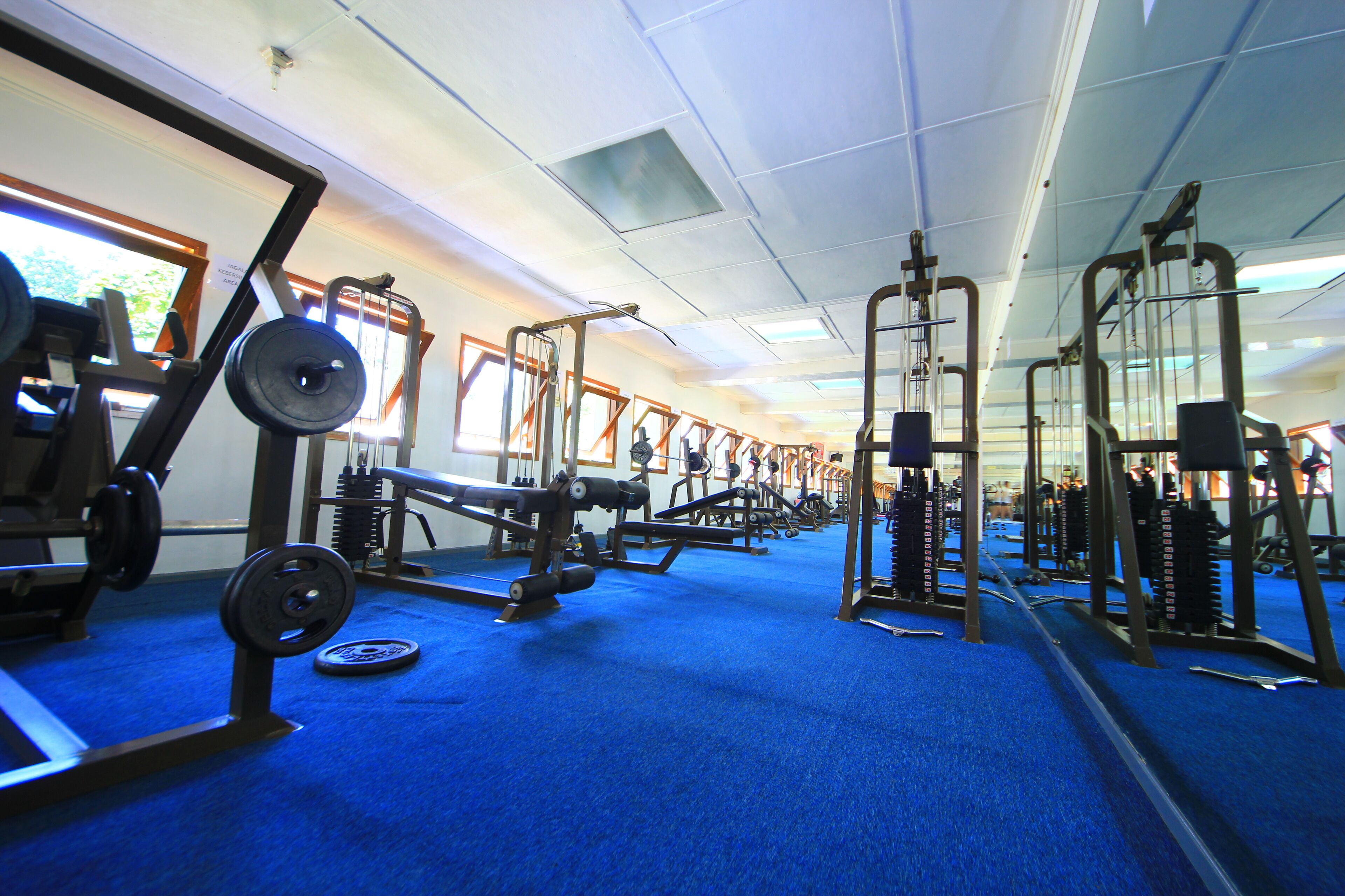 Ein Fitnessstudio mit verschiedenen Gewichtsmaschinen, einem blauen Teppich und großen Fenstern für natürliches Licht.