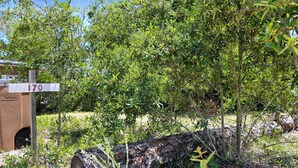 Un espacio natural al aire libre con un cartel de madera que indica el número 170.
