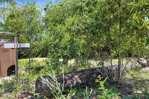 Exterior - Maxtoria RV Lot (Port St. Joe)